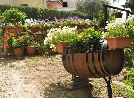 Torciano Wine & Winery, Tuscany Отель
