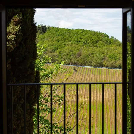 Torciano Wine & Winery, Tuscany *