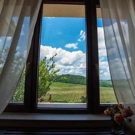 Torciano Wine & Winery, Tuscany Сан-Джиминьяно