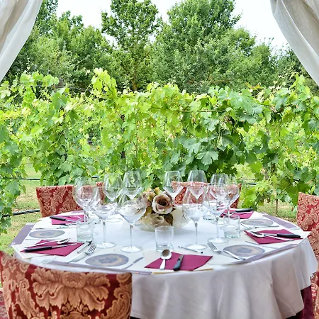 מלון Torciano Wine & Winery, Tuscany