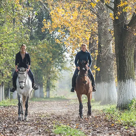 Torciano Wine & Winery, Tuscany Hotell *