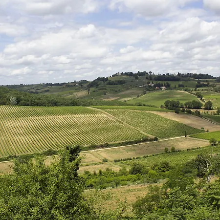 Torciano Wine & Winery, Tuscany 3*