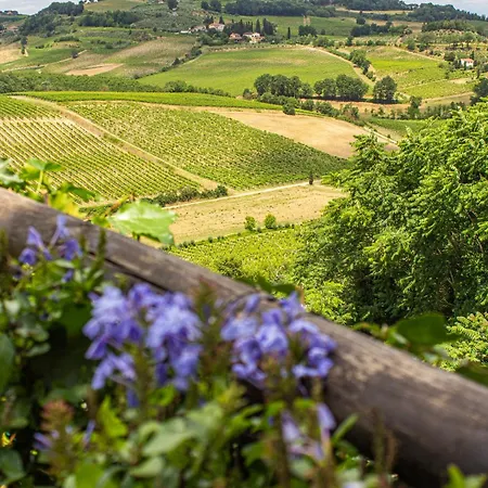 Hotel Torciano Wine & Winery, Tuscany *